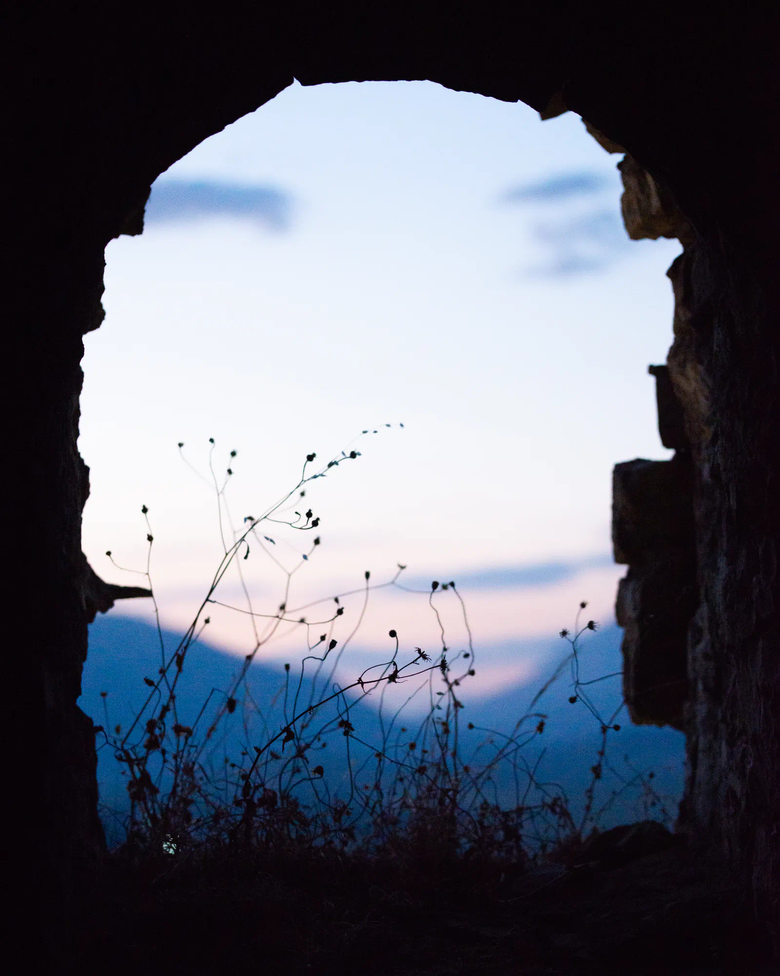 arch and grass